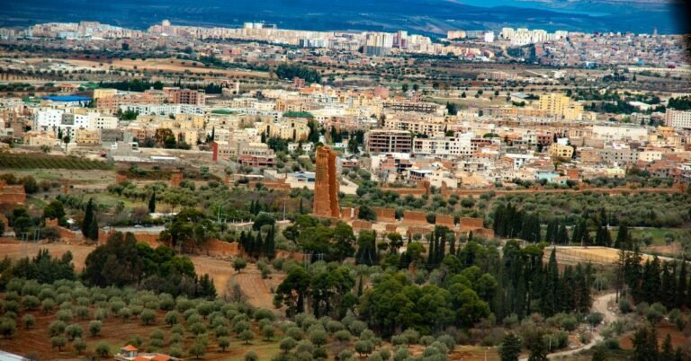 Transavia Airlines Tlemcen Office in Algeria