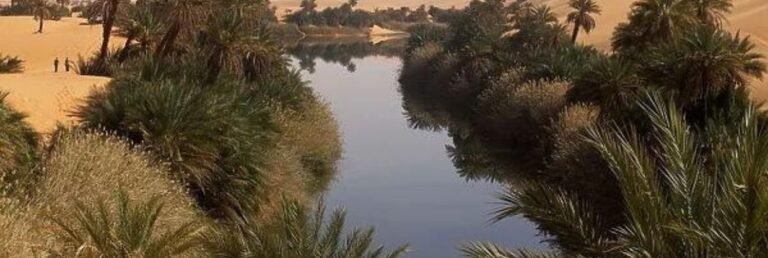 Afriqiyah Airways Ubari Office in Libya